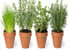 Herbs 4 Pots